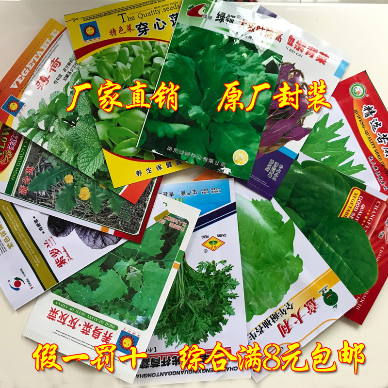 蔬菜种子四季播阳台盆栽庭院种植家庭菜园灰灰菜大叶茼蒿生菜薄荷