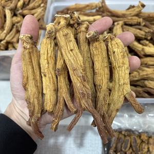 正宗6年根足干原支高丽参片