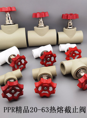 包邮PPR升降式卡簧截止阀4分6分1寸 白色灰色PPR水管配件阀门开关