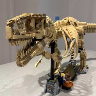 2025新品侏罗纪世界76968霸王龙化石骨架男孩子拼装积木玩具礼物