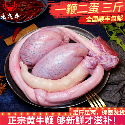 牛鞭新鲜男用1500g顺丰包邮现杀新鲜牛鞭牛宝牛蛋农家散养黄牛
