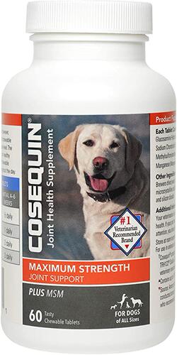 Cosequin Maximum Strength Joint Supplement Plus MSM - With G