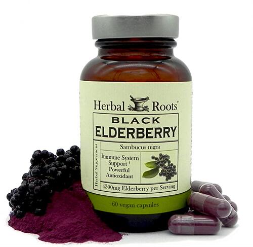Herbal Roots Black Elderberry Capsules Max Strengt