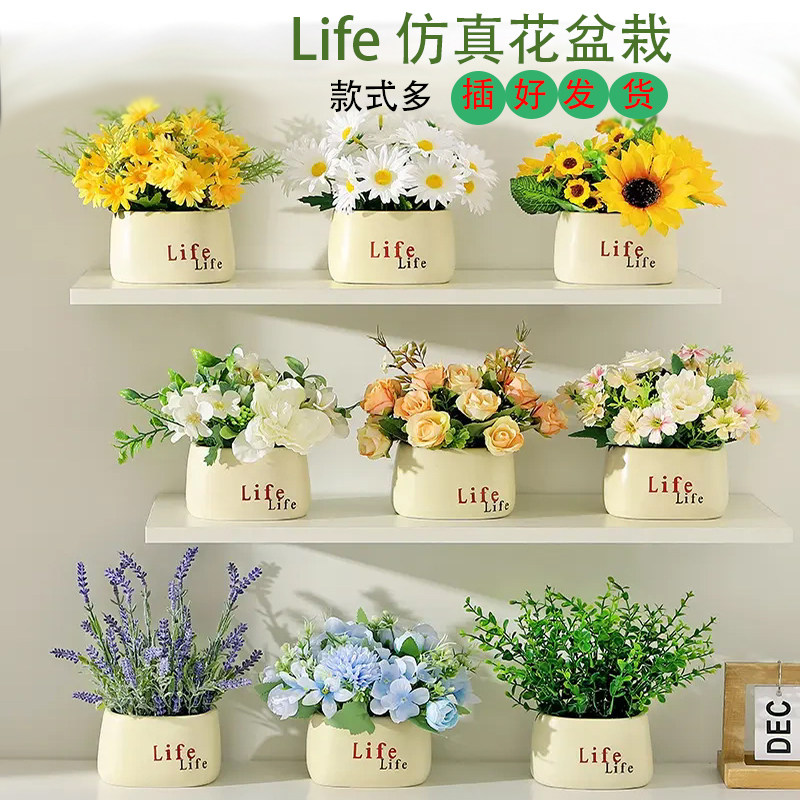 Life仿真小盆栽客厅摆件图片