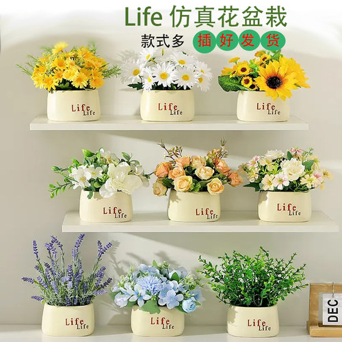 Life仿真小盆栽客厅摆件