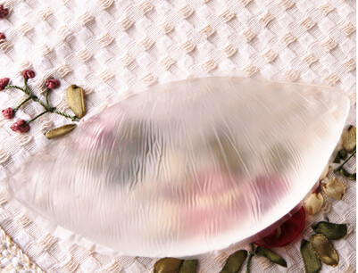 Pads pour soutien-gorge - Ref 818074 Image 3