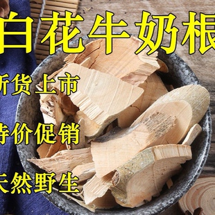 白花牛奶根500克牛乳树根中药材野生牛奶根老火靓汤 全场2件包邮