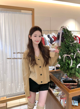 AS OFFICIAL高颜品质感拉满老钱风polo领复古麻花保暖毛衣女80821