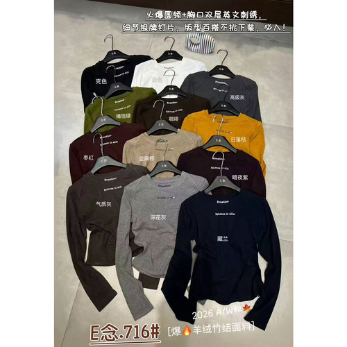 十三行秋季新款美式修身显瘦圆领字母绣花百搭长袖打底上衣女716