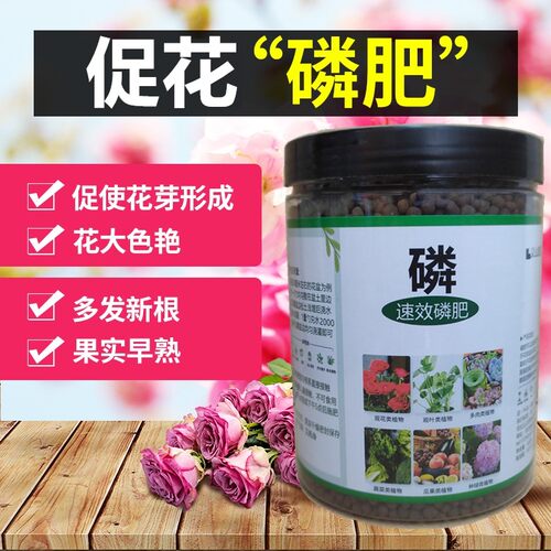 磷肥花卉蔬菜通用型促开花养花肥