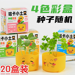 种植绿植网红种植小盆栽桌面学生创意礼物植物盲盒植树节儿童礼品