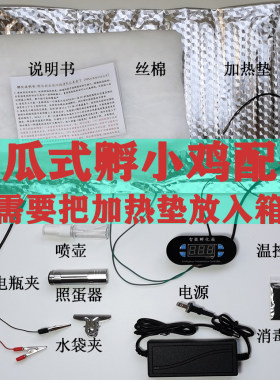 水床孵化器迷你恒温智能小型