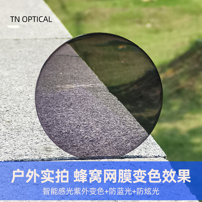 蜂窝网膜变色龙司机日夜视