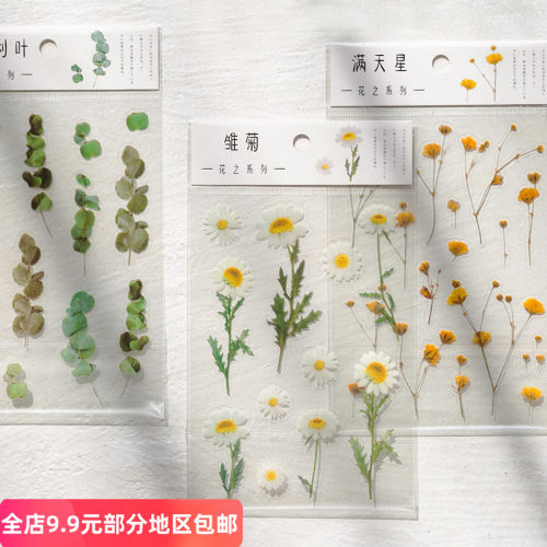 纸先生花卉PET手帐透明小清新