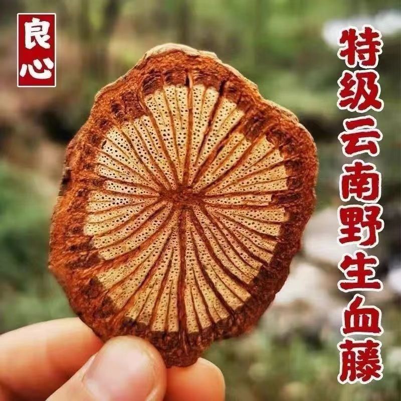 云南野生血藤血塞通药食同源