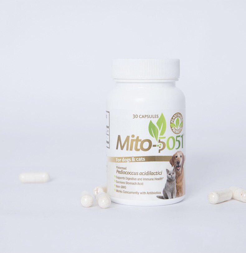 美国mito5051乳酸片球菌猫狗通用腹泻克星舒缓调理肠胃宠物益生菌