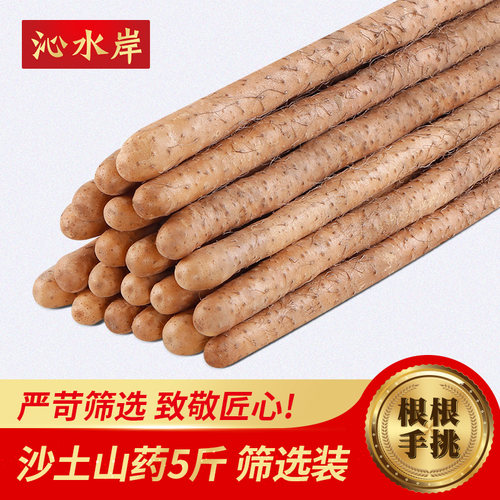 铁棍河南焦作温县新鲜怀山药甄选