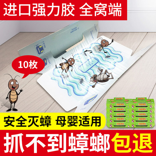 蟑螂屋家用无毒一窝全窝端药