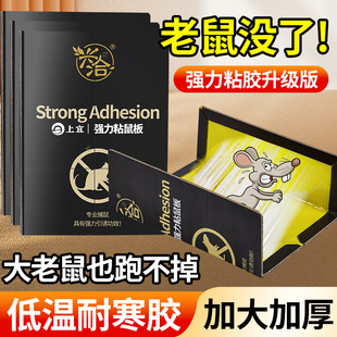 粘鼠板强力胶粘大老鼠加大加厚家用灭除老鼠贴神器厨房超强捕抓沾