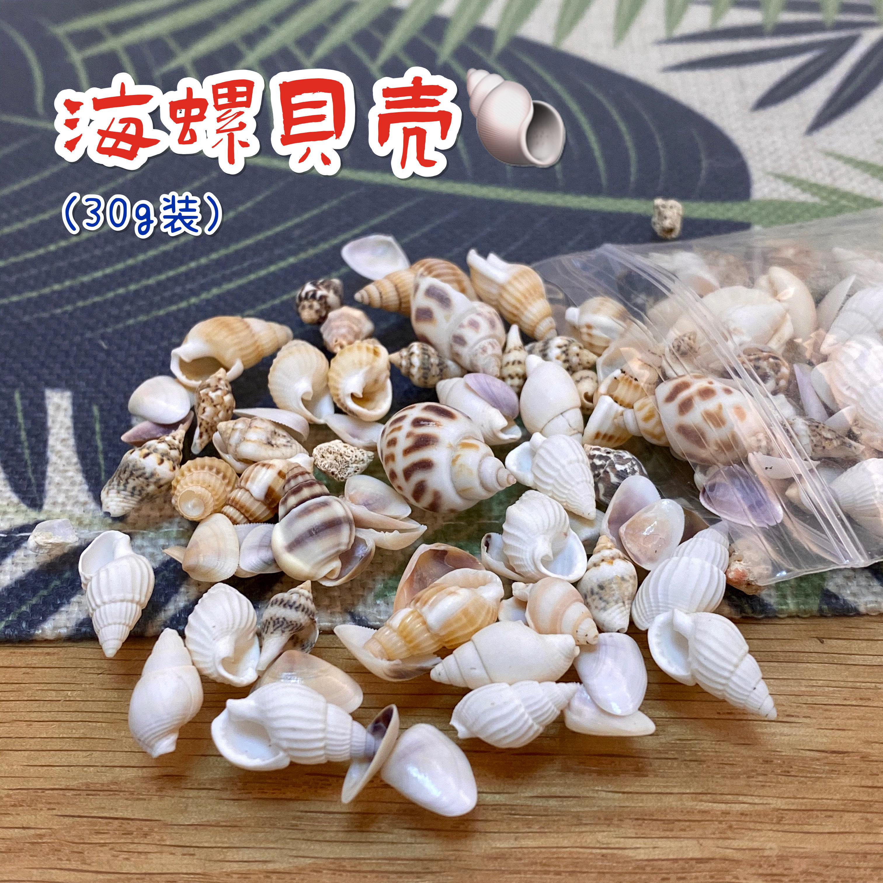 【红豆粘土】天然迷你海螺贝壳30g袋装 超轻粘土diy场景配饰