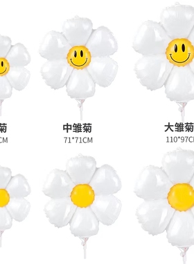 白色小雏菊太阳花鸡蛋花铝膜气球韩国ins风儿童宝宝生日派对装饰