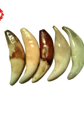 礼物男士时尚风饰品送宝宝大人