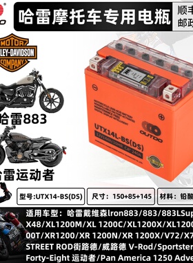 哈雷883 1200 X48/V72硬汉750哈雷软尾司令戴纳街霸路威滑翔电瓶