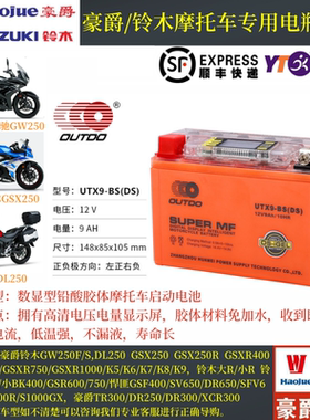 适用铃木骊驰GW250F/S DL250 GSX250 GSX250R原装YTX9-BS电池通用