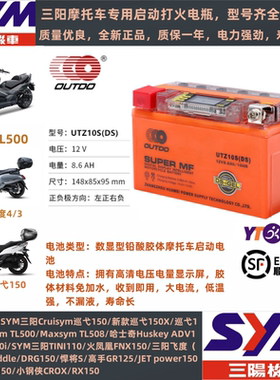 三阳飞度3/4/5巡戈150/300TL500九妹Z300摩托车电瓶12V锂电池通用