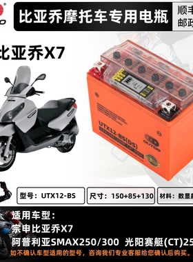 宗申比亚乔X7埋地雷150/FLY150/liberty流鼻涕MP3/250电瓶12V通用