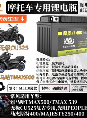 电瓶适用于无极CU525复古雅马哈TMAX500光阳PEOPLES150专用锂电池
