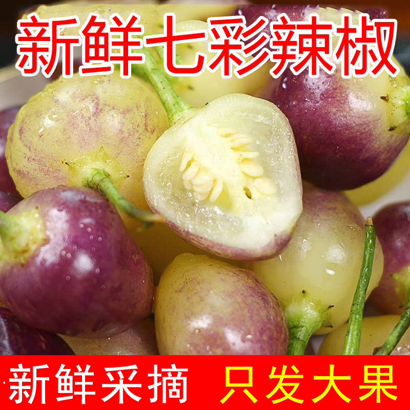 广西特产新鲜七彩辣椒现摘五色椒小辣椒灯笼椒剁椒大果可做泡椒