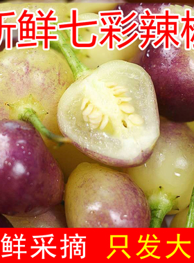 广西特产新鲜七彩辣椒现摘五色椒小辣椒灯笼椒剁椒大果可做泡椒