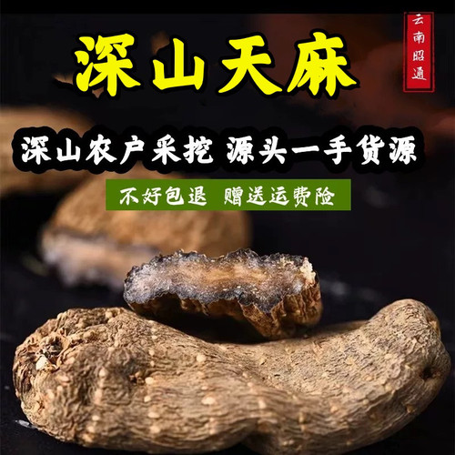 正宗云南昭通野外乌天麻特级无硫小草坝新鲜干货500g可切片代磨粉