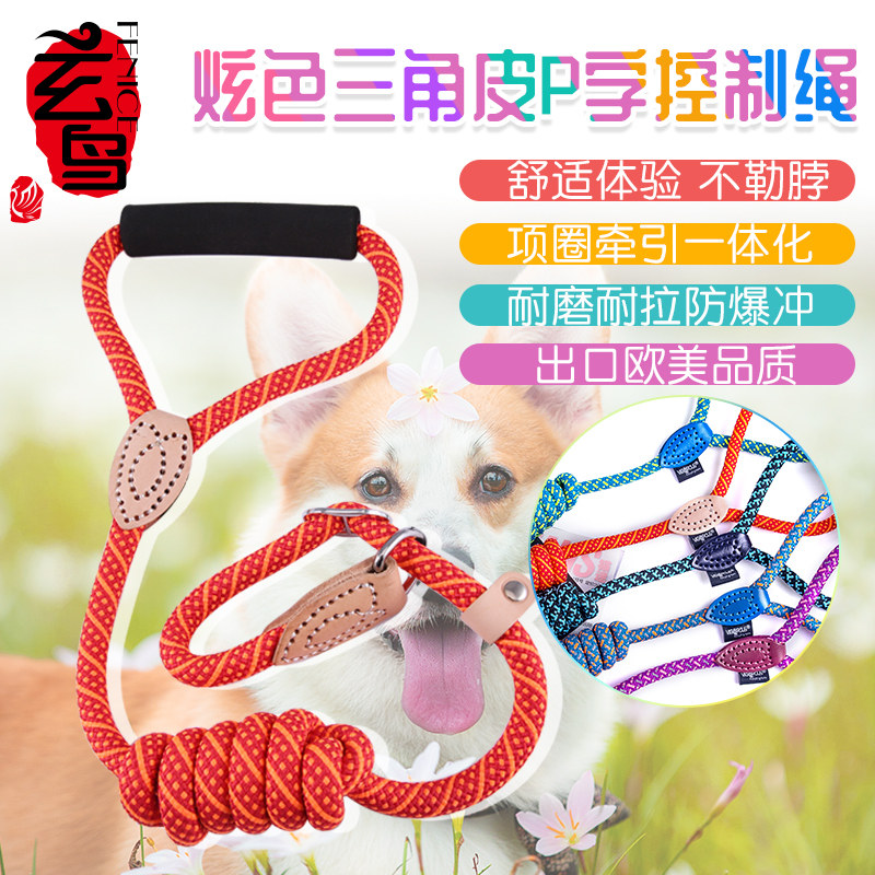 训练p绳拉布拉多中大型犬狗链子