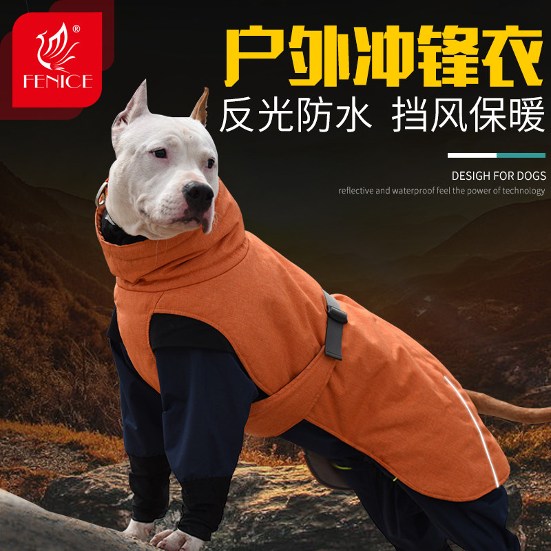 物足りないハチ地域犬防寒 Sevaabhaava Org