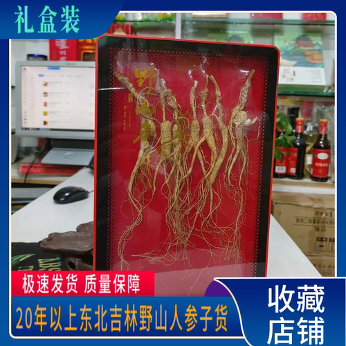 长白山林下参盒装东北人参新货