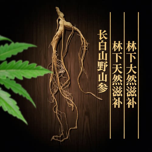 长白山野山人参礼盒装煲汤