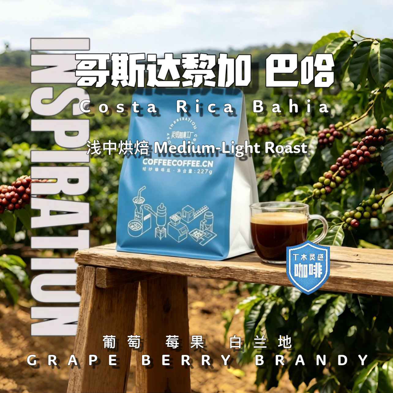 哥斯达黎加厌氧发酵咖啡豆酒香甜