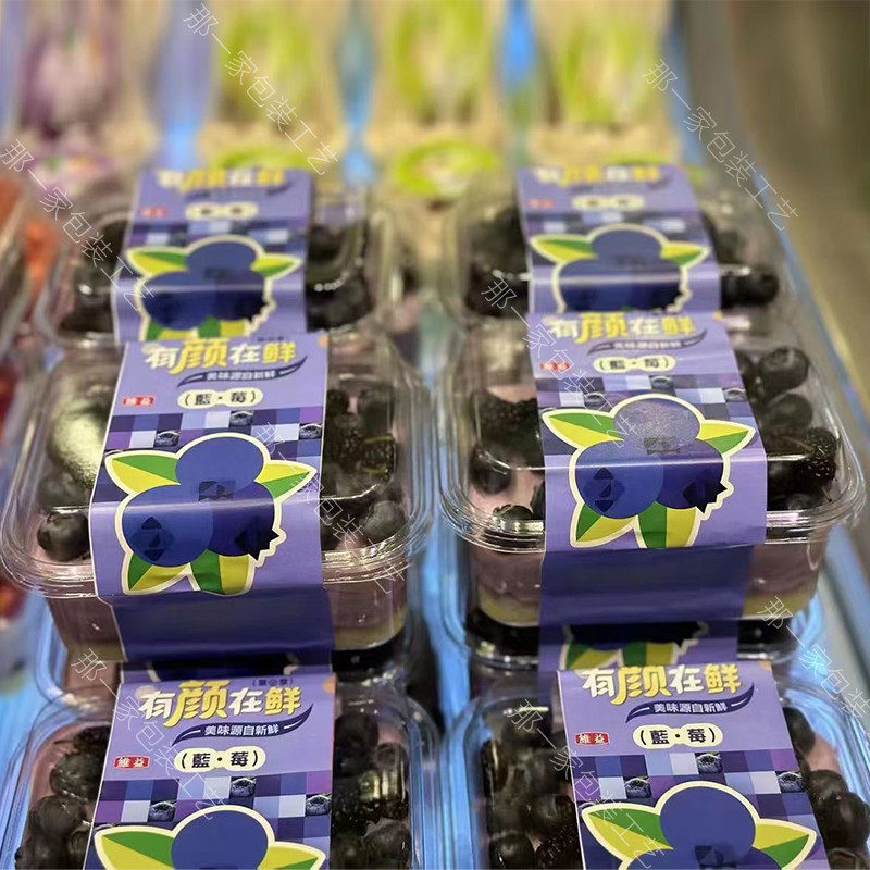 烘焙蓝莓奶油盒子蜜瓜哈密瓜凤梨草莓芒果蛋糕提拉米苏慕斯包装盒
