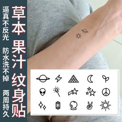 草本纹身贴纸小清新图案果汁植物女男半永久不反光洗不掉防水持久