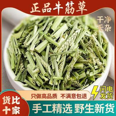 牛筋草中药材500g克深山新鲜干货千斤草蟋蟀草千人拨牛津草牛根草