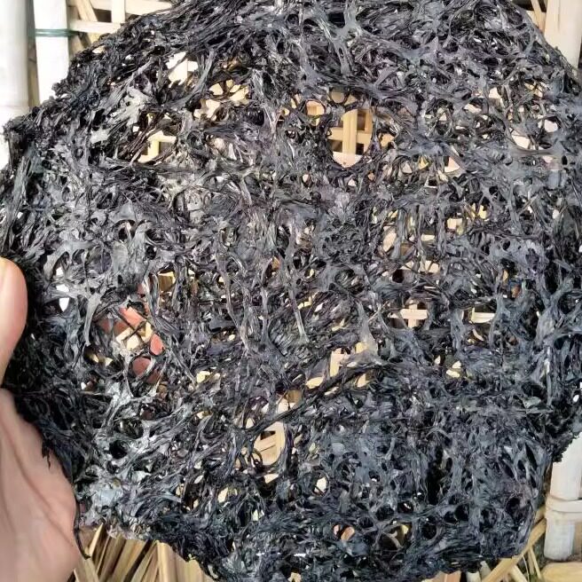 南澳特产新货紫菜 野生散装无沙免洗海苔水产海鲜100g 500克包邮