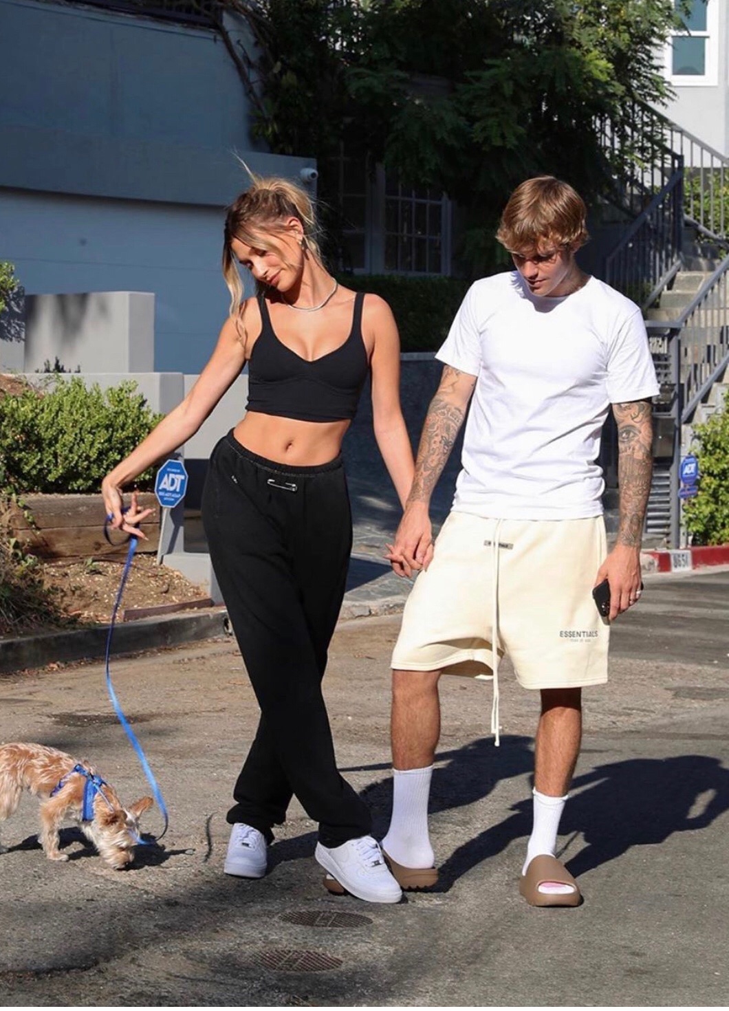 【国现】美国购kylie曲别针海狸