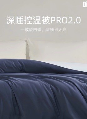 Dinglan冬季控温深睡被二代适用亚朵被套可水洗空调被被子被芯