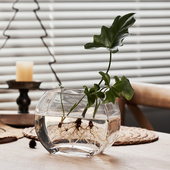 大号创意简约植物水培玻璃器皿透明花瓶办公室圆形生态小鱼缸摆件