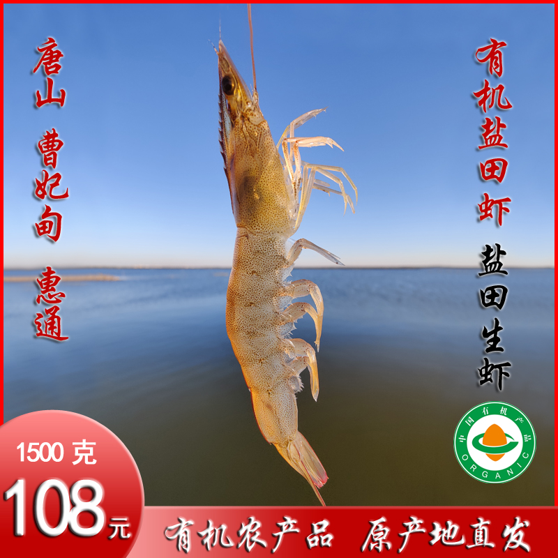 一卌蟹小冬有机盐田虾生冻大虾