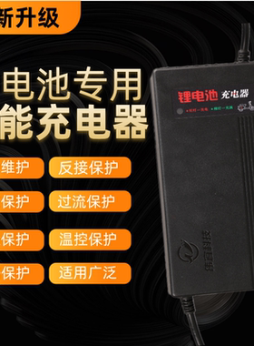 电动车锂电池智能充电器54.6伏5A60V73v8安伟宜磷酸铁锂快充自停