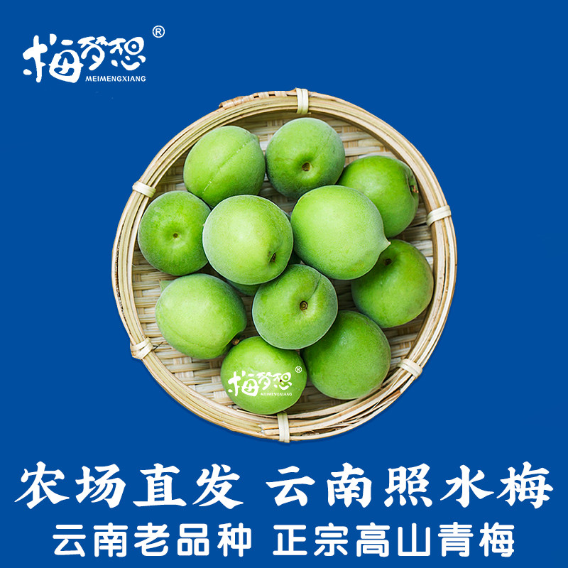 新鲜青梅鲜果泡酒专用胭脂梅黄梅现摘云南大理级特鲜梅子高山野生