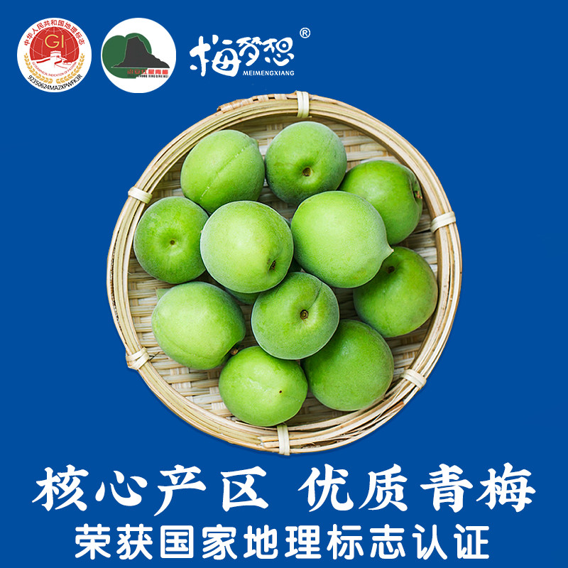 新鲜青梅鲜果泡酒专用胭脂梅黄梅现摘福建诏安级特鲜梅子高山野生